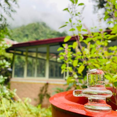 Shiv Shakti Yogpeeth Cottages Rishikesh Ngoại thất bức ảnh
